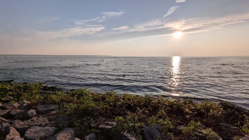 Teddy's Treats At Verona Beach State Park - Verona Beach, NY