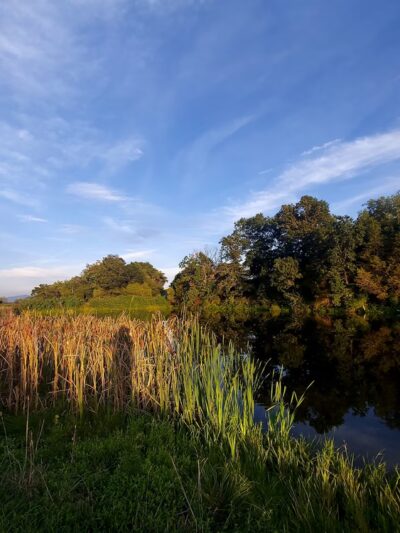 The Trails at Mill Place - Verona, VA