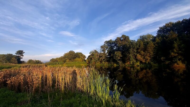 The Trails at Mill Place - Verona, VA