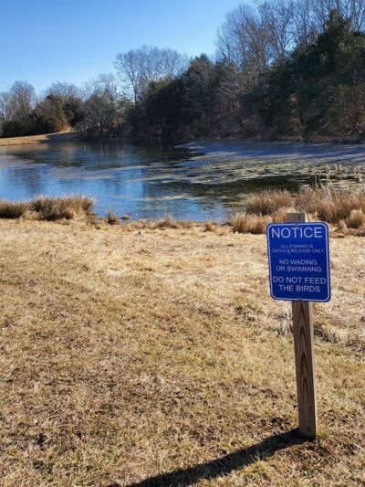 The Trails at Mill Place - Verona, VA