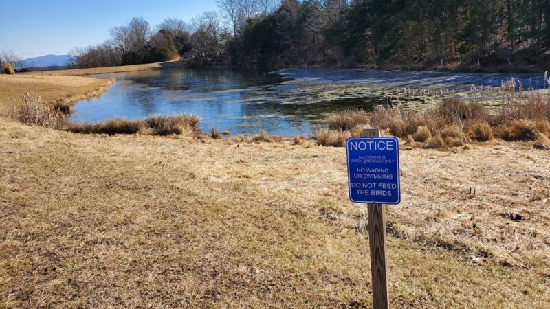 The Trails at Mill Place - Verona, VA