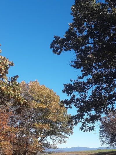 The Trails at Mill Place - Verona, VA