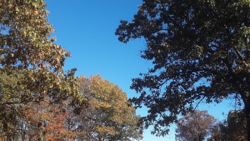 The Trails at Mill Place - Verona, VA