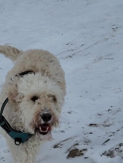 Prairie Moraine County Park - Verona, WI