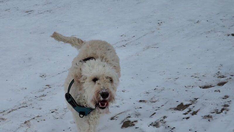 Prairie Moraine County Park - Verona, WI