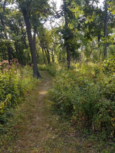 Prairie Moraine County Park - Verona, WI
