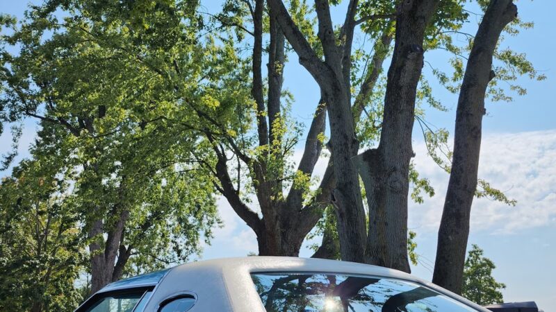 Cortlandt Waterfront Park in Verplanck - Verplanck, NY