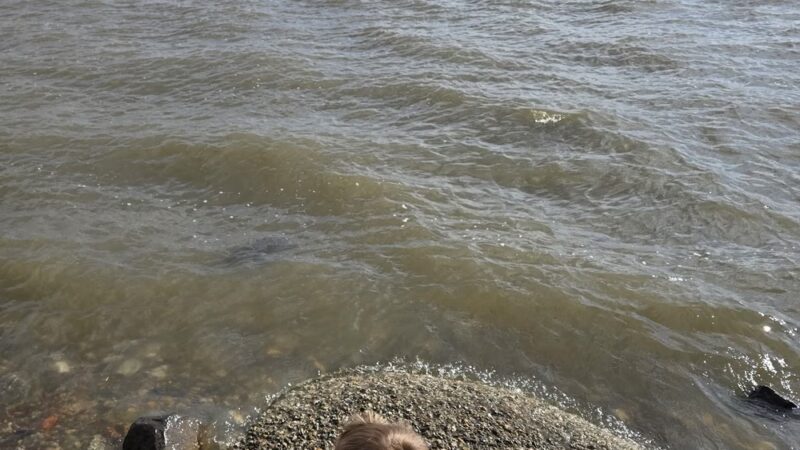 Cortlandt Waterfront Park in Verplanck - Verplanck, NY