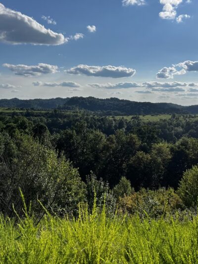 Mine Made Adventure Park - Vest, KY