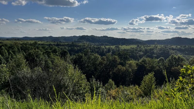 Mine Made Adventure Park - Vest, KY