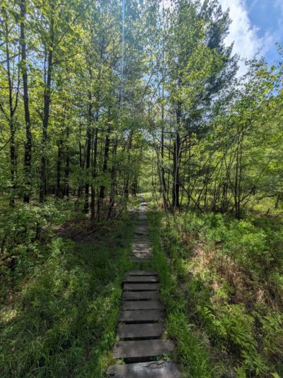 Binghamton University Nature Preserve - Vestal, NY