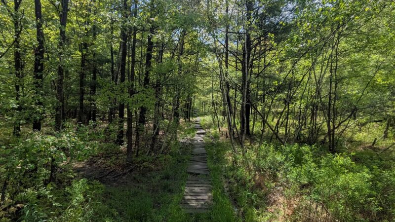 Binghamton University Nature Preserve - Vestal, NY