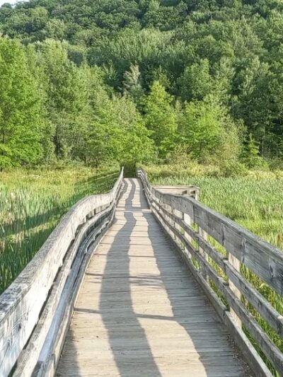 Binghamton University Nature Preserve - Vestal, NY