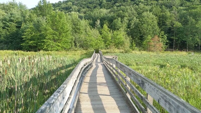Binghamton University Nature Preserve - Vestal, NY