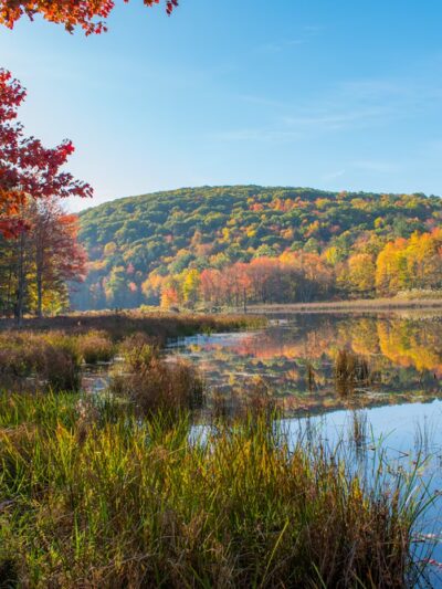 Binghamton University Nature Preserve - Vestal, NY