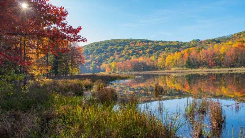 Binghamton University Nature Preserve - Vestal, NY
