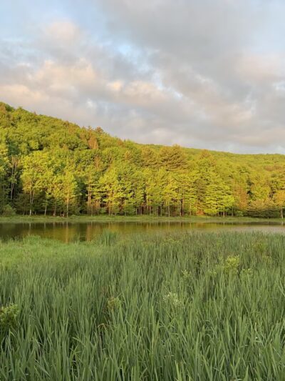 Binghamton University Nature Preserve - Vestal, NY
