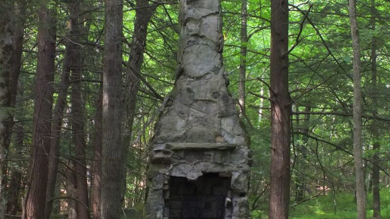 Jones Park - Vestal, NY