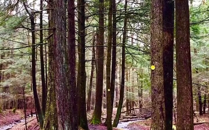 Jones Park - Vestal, NY