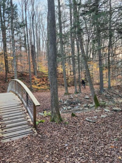 Jones Park - Vestal, NY