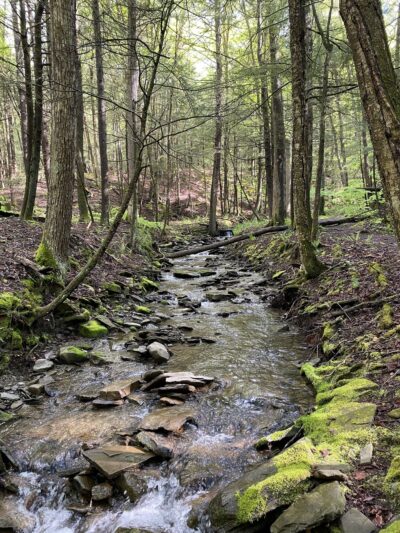 Jones Park - Vestal, NY