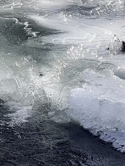 The Rail Trail - Vestal, NY