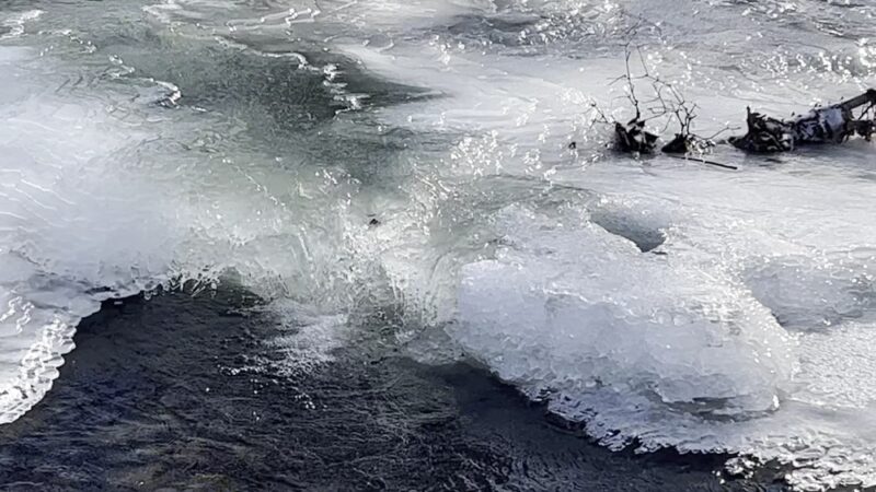 The Rail Trail - Vestal, NY