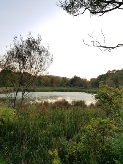 The Rail Trail - Vestal, NY