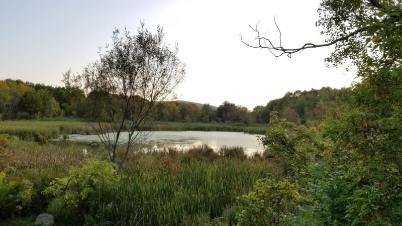 The Rail Trail - Vestal, NY