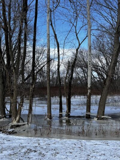 The Rail Trail - Vestal, NY