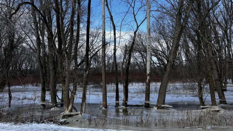 The Rail Trail - Vestal, NY