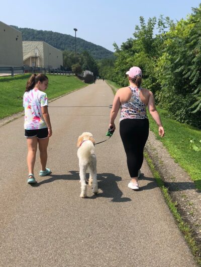 Vestal Rail Trail East Parking, African Road - Vestal, NY