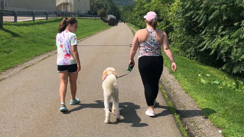 Vestal Rail Trail East Parking, African Road - Vestal, NY