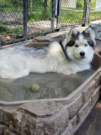 Moorefield Park - Vienna, VA