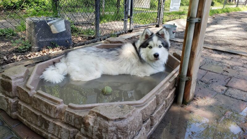 Moorefield Park - Vienna, VA