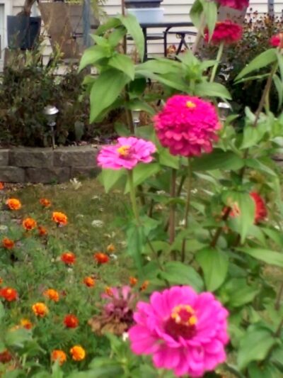 North Terrace Park - Villa Park, IL