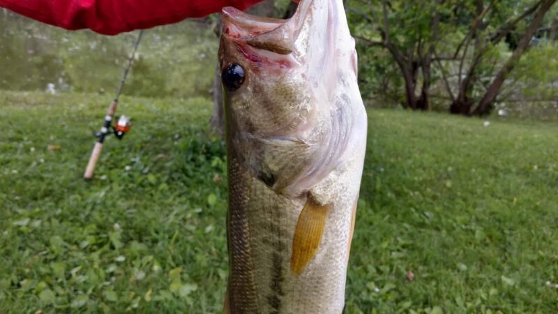 Four Lakes - Vincennes, IN
