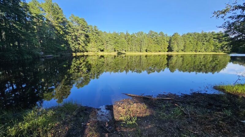Pakim Pond - Vincentown, NJ