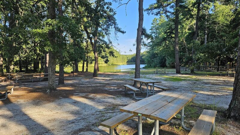 Pakim Pond - Vincentown, NJ