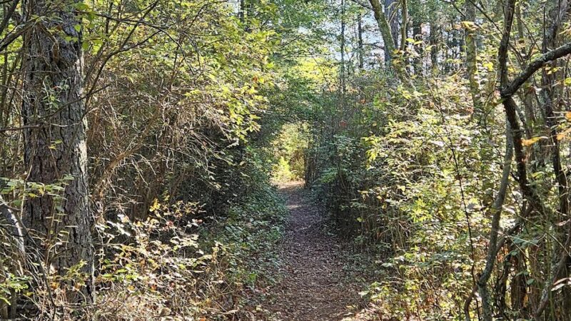 Pakim Pond - Vincentown, NJ