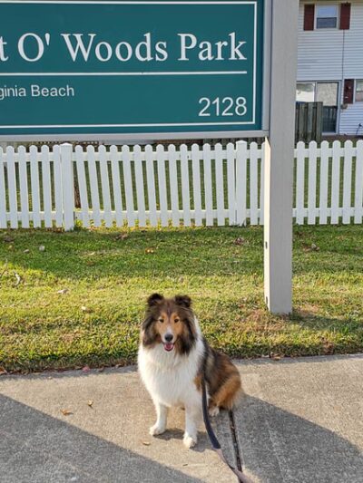 Point O' Woods Park - Virginia Beach, VA