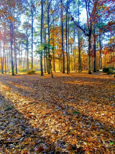 Bayville Farms Park - Virginia Beach, VA