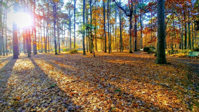 Bayville Farms Park - Virginia Beach, VA
