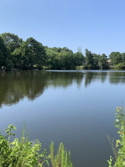 Chatham Hall Park - Virginia Beach, VA