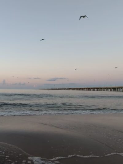 Chesapeake Beach Park - Virginia Beach, VA