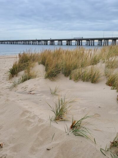 Chesapeake Beach Park - Virginia Beach, VA