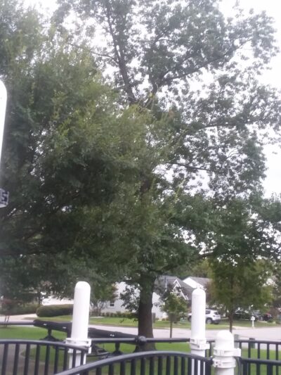 Lynbrook Landing Park - Virginia Beach, VA
