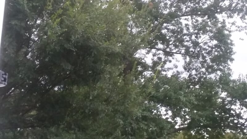 Lynbrook Landing Park - Virginia Beach, VA