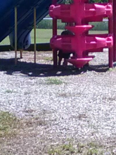 New Land Neighborhood Park - Virginia Beach, VA