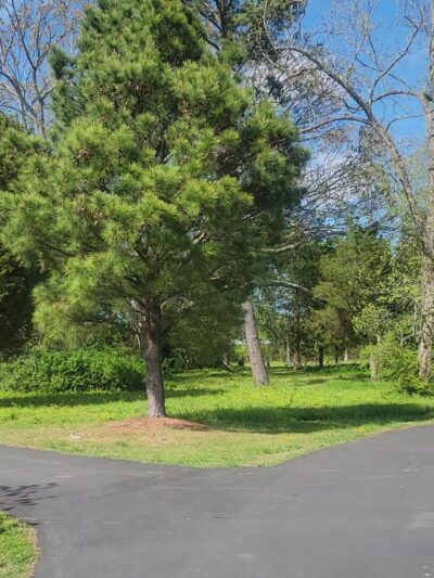 Providence Park - Virginia Beach, VA